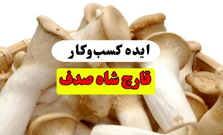 کشت قارچ شاه صدف