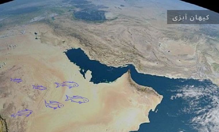 تفاوت شوری اب دریای خزر با خلیج فارس