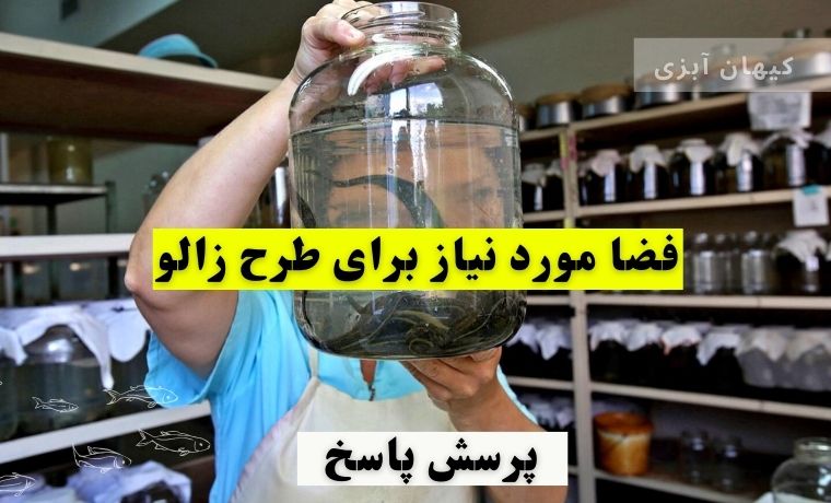 پرورش زالو