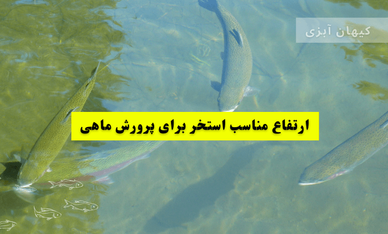 عمق مناسب استخر برای قزل آلا