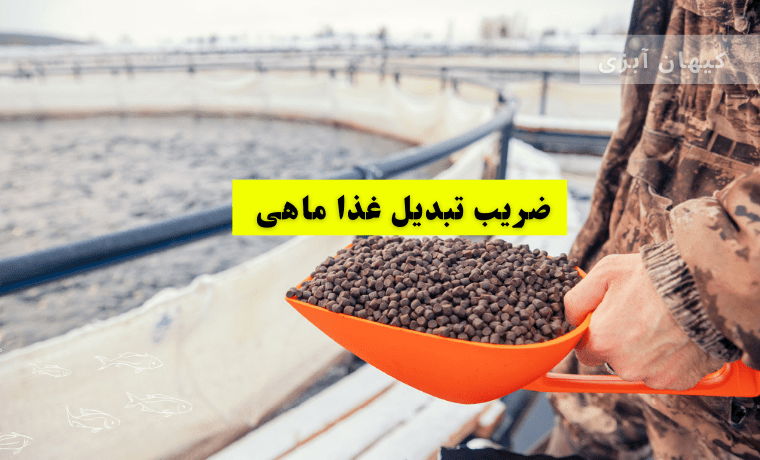 ضریب تبدیل غذا ماهی