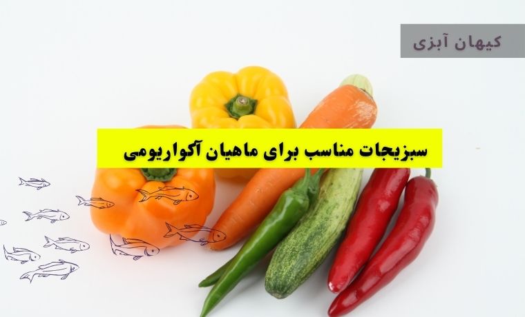 سبزیجات در تغذیه ماهیان زینتی