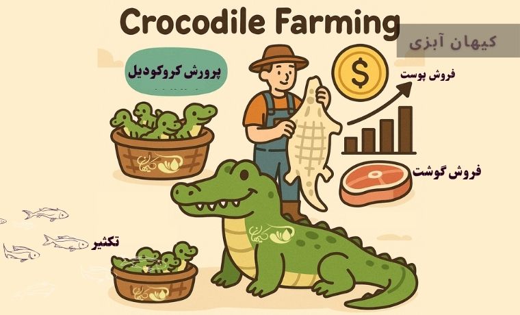 پرورش کروکودیل