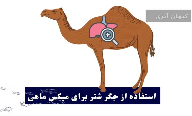 استفاده از جگر شتر برای میکس ماهی