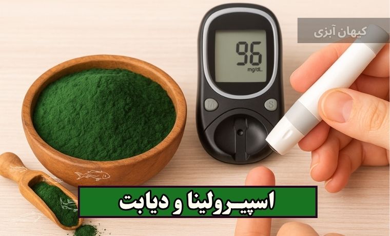 اسپیرولینا و دیابت